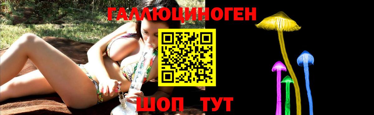 Галлюциногенные грибы GOLDEN TEACHER  Вход с VPN  Благодарный 